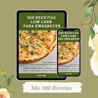 300 receitas low carb